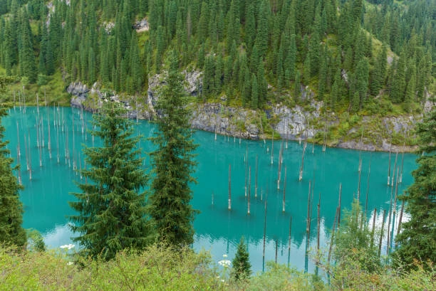 Kaindy Lake