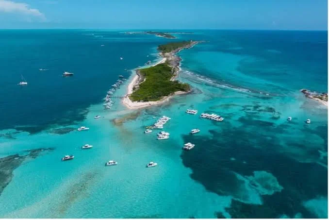 Bimini