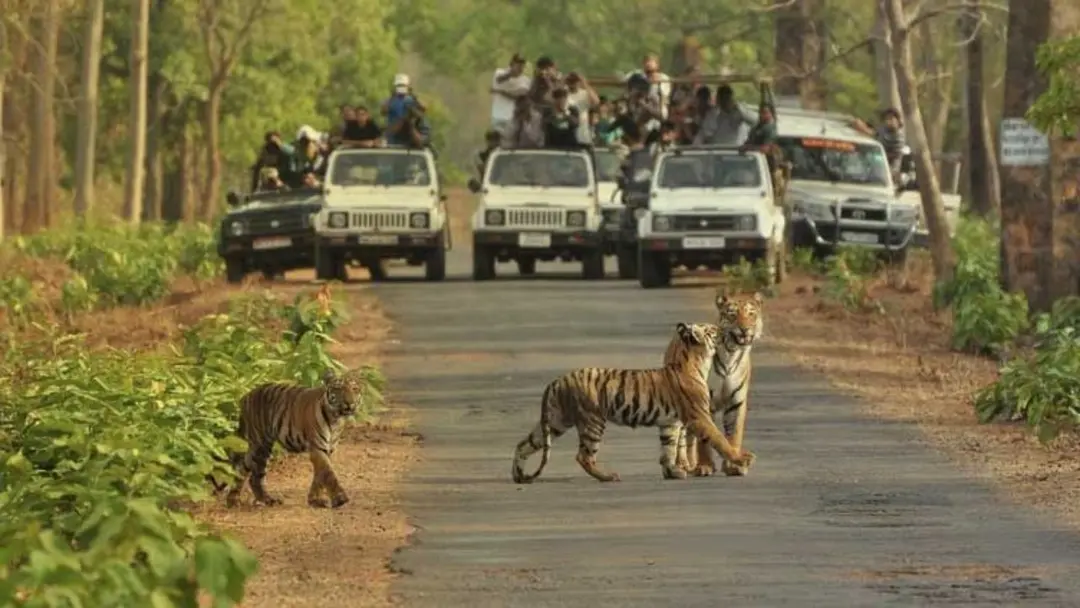 Bannerghatta Biological Park