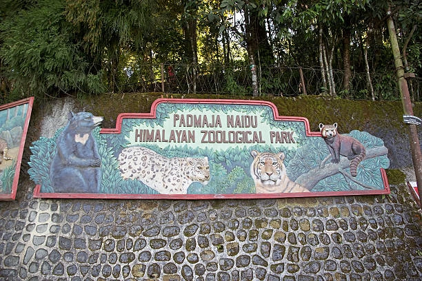 Padmaja Naidu Himalayan Zoo