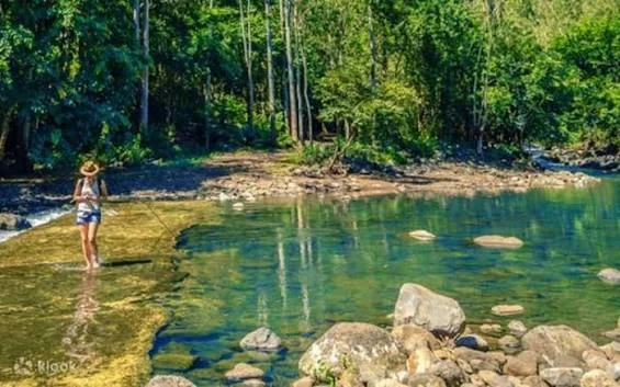 Black River Gorges National Park