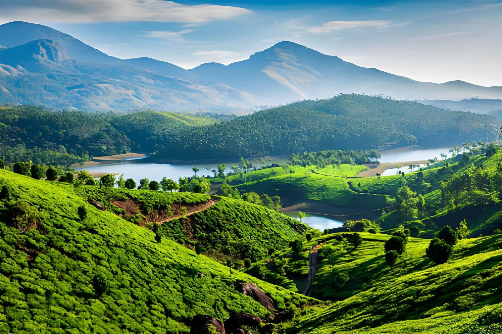 Munnar