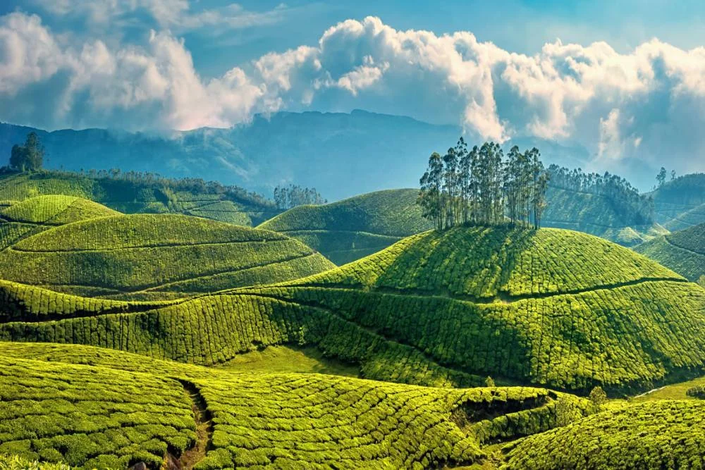 Pothamedu Viewpoint