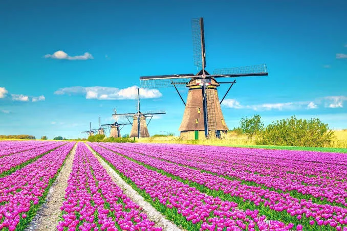 Kinderdijk