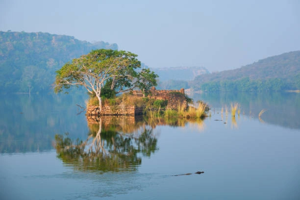 Padam Talao