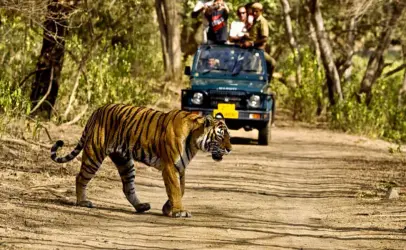 Rajaji National Park