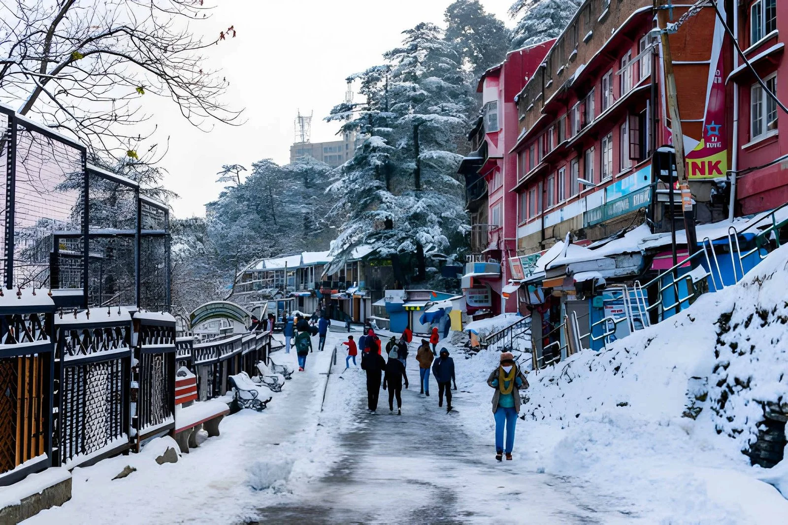 Shimla