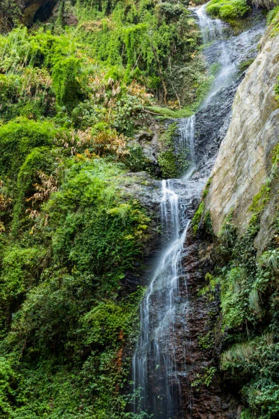 Chadwick Falls
